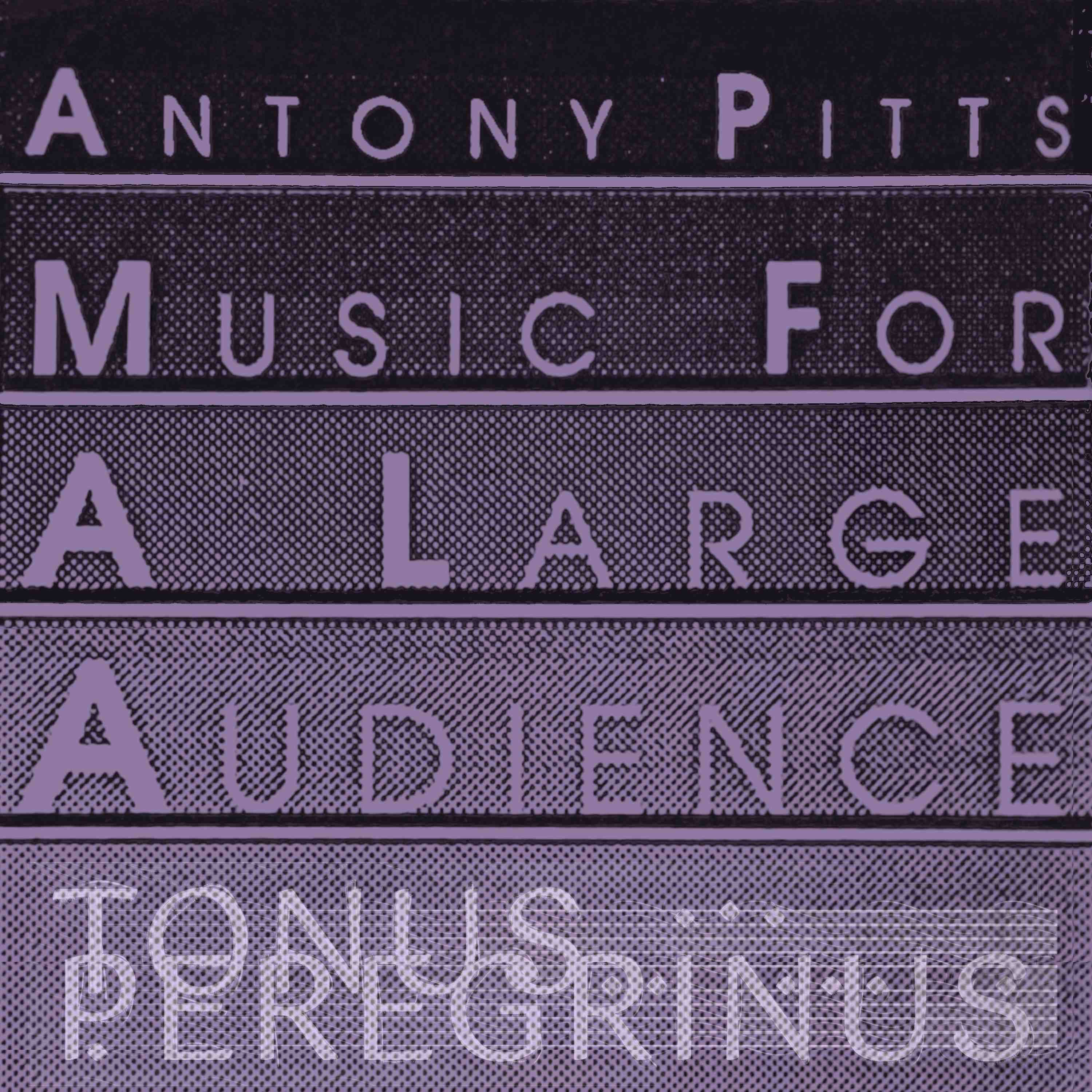 Music for a Large Audience cover art
